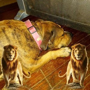 Meet your Posher, Jay